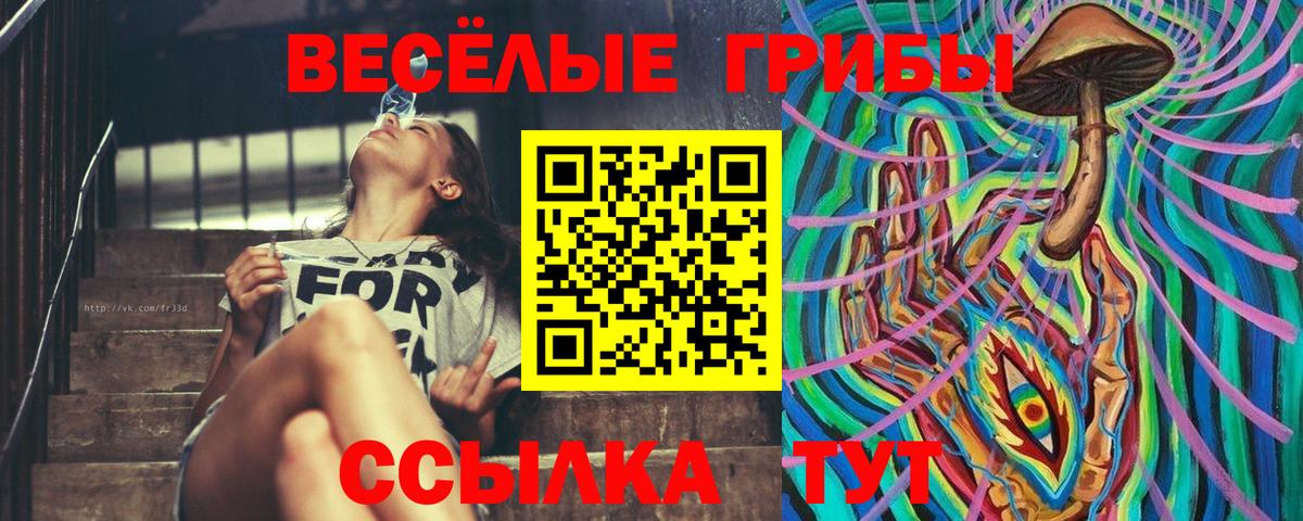 Галлюциногенные грибы мухоморы Новосибирск
