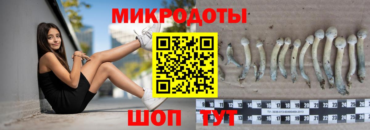 Новосибирск  Псилоцибиновые грибы Psilocybe  цены   Вход с VPN  Псилоцибиновые грибы Cubensis 